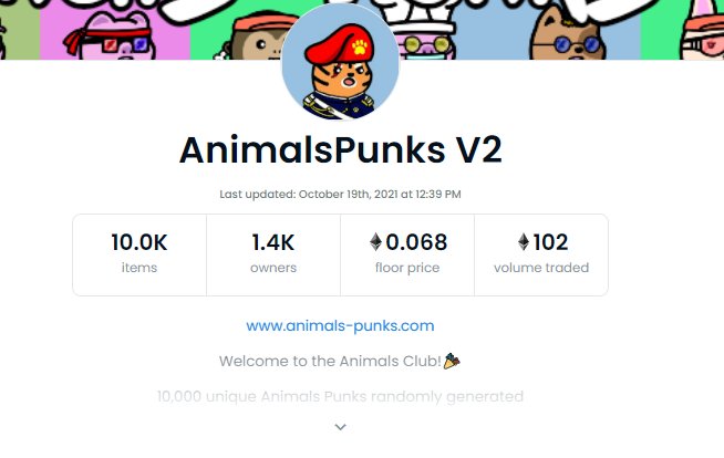 <a href="/jaesun_han/">🟨 Jason Han (한재선)</a> The best community with best holders, we are just killing the scene, roadmap is coming soon!

Please check us too 🙏🏻 🐰

Ah, we are the partner with DSC ! pic.x.com/2FtyYxxwwj