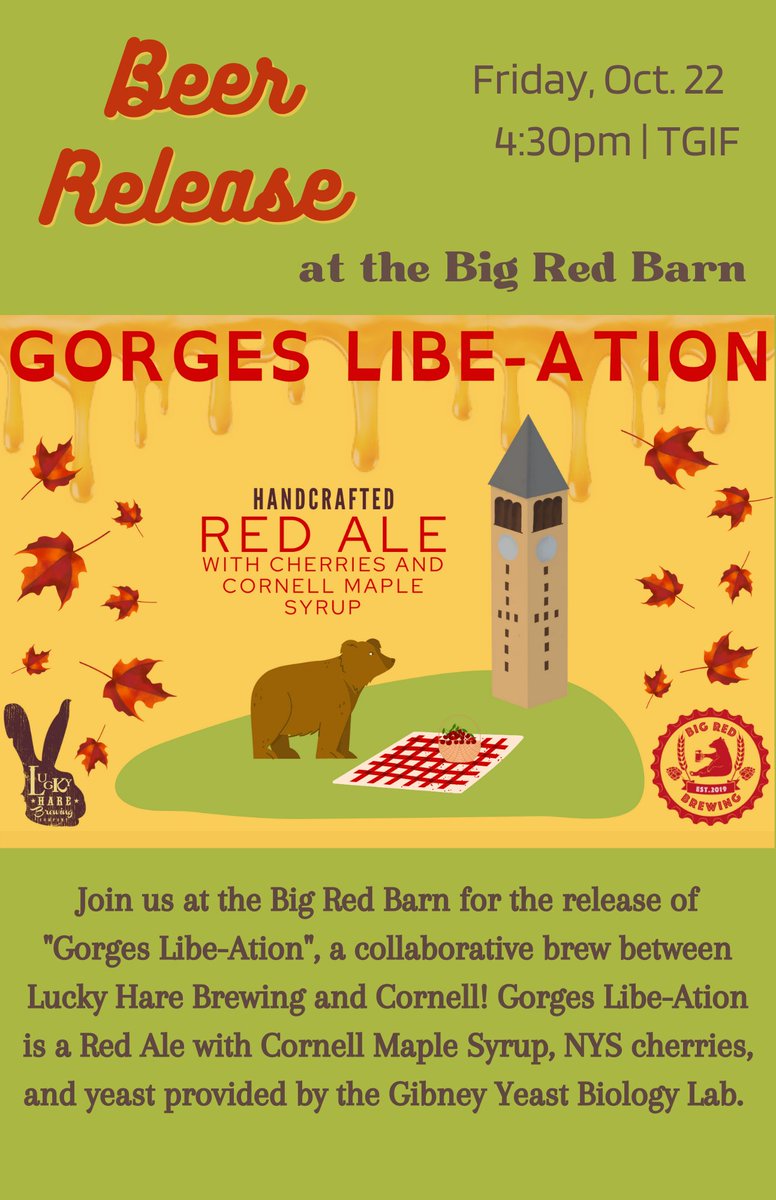 liquidprofessor's tweet photo. Being poured  @StatlerHotel and the Big Red Barn starting Friday.  Created with a collaboration between @LuckyHareBrew and @brewbigred.  Made with @Cornell Maple syrup, local cherries, local hops.  Only a couple #barrles made @CornellCALS  #craftbeer   #redale #beer #craftbeer https://t.co/lTKsa1rHmH