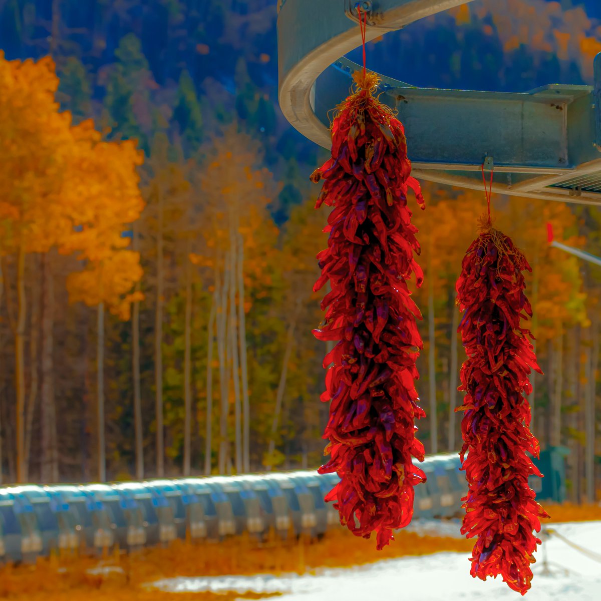 NewMexicoDrive's tweet photo. Fall at @TaosSkiValley is just #somethingtosee #newmexico #newmexicodrive https://t.co/KXhoF3oehl