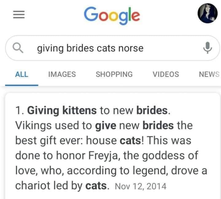 RT @harvey_eros: Okay but Thor giving Steve a kitten when him and Bucky get married https://t.co/7QWRW1XW1g