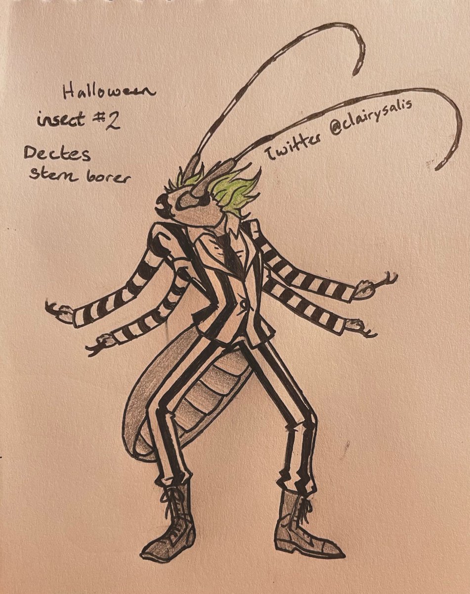 My second costumed bug is a Dectes stem borer! 

Can you guess his name? (Just make sure you don’t say it thrice)

#Halloween #insect #Entomology #beetlejuice #beetle #agriculture #art