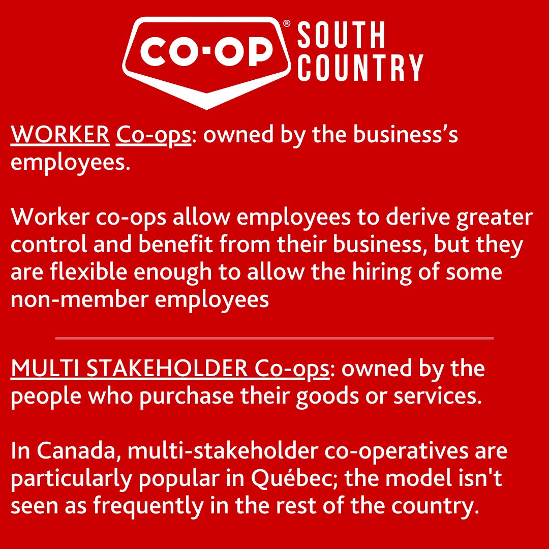 SthCntryCoop's tweet photo. Co-op Week continues!
Learn a little about the myriad of ways the co-operative model can be applied to just about any organization or business. 
#CoopWeek2021 https://t.co/eJjjTv49jn