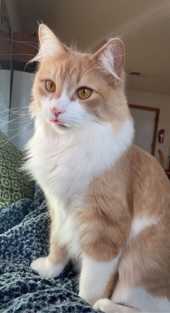 MorganS1201's tweet photo. Suns out tongues out https://t.co/L2R38sKLFZ