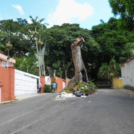 RosanaLangerano tweet picture