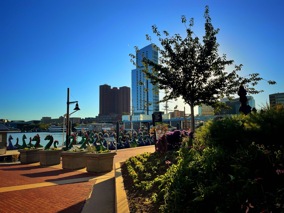 WaterfrontPB's tweet photo. Not a cloud in this #Baltimore fall sky. โ๏ธ๐ Remeber to tag us in your #autumn waterfront post! #waterfrontfun https://t.co/Ip4HxGesQu