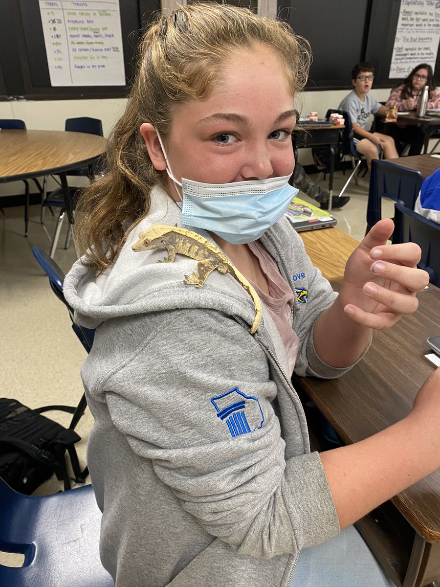 mrsabbyher's tweet photo. We had special visitors today! 
Reptile realia to teach animal classification. 🦎 @OGESeagles https://t.co/GtDTRUtEhH