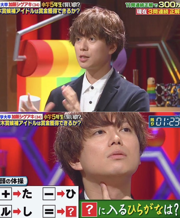 Koyashige Daily Koyashigedaily Twitter