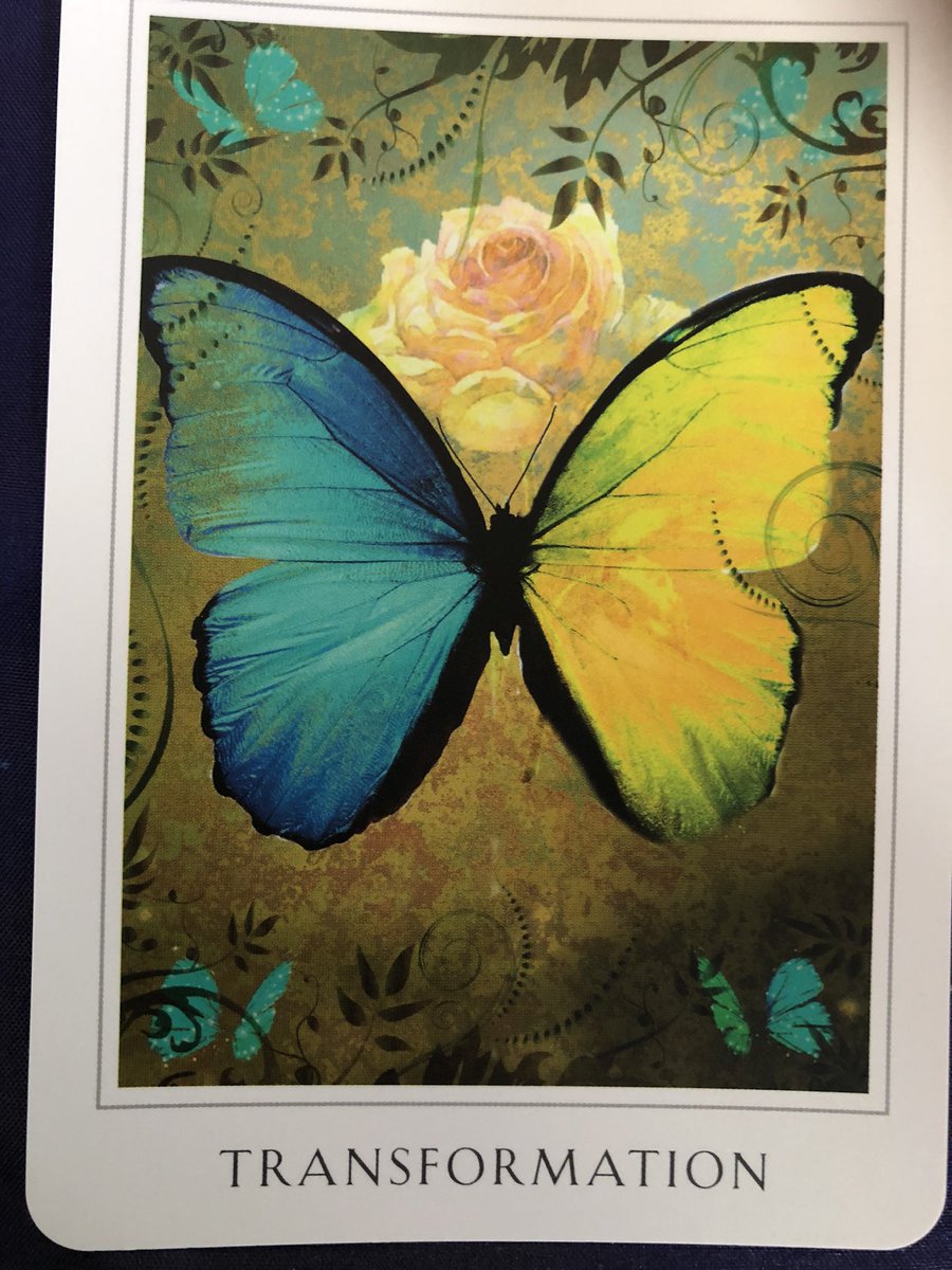 Top Tweets For 変容 On Twitter Twstalker