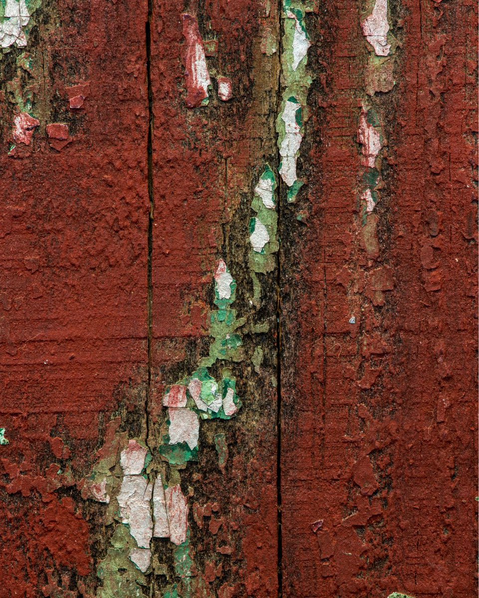 LookStudioAspen's tweet photo. Abstract Macro Photograph
SILVER LINING
Archival Print
https://t.co/CKAIxBwmMu
.
.
.
.
. 
#abstractgram #artistsofinstagram #colorado_creative #homestyle #interior4all #interiorstyling #macromood #photoeveryday #photographylovers #visualartist https://t.co/8XJ3Mn1wru