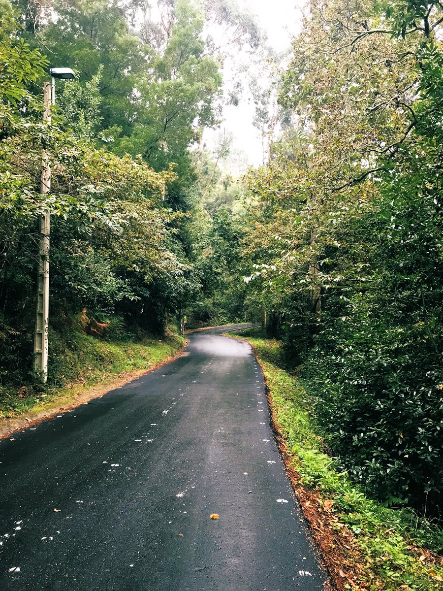 JulietOzan's tweet photo. Tener el bosque a 10 min de tu casa 😍 impagable https://t.co/8eFIvFGgxQ