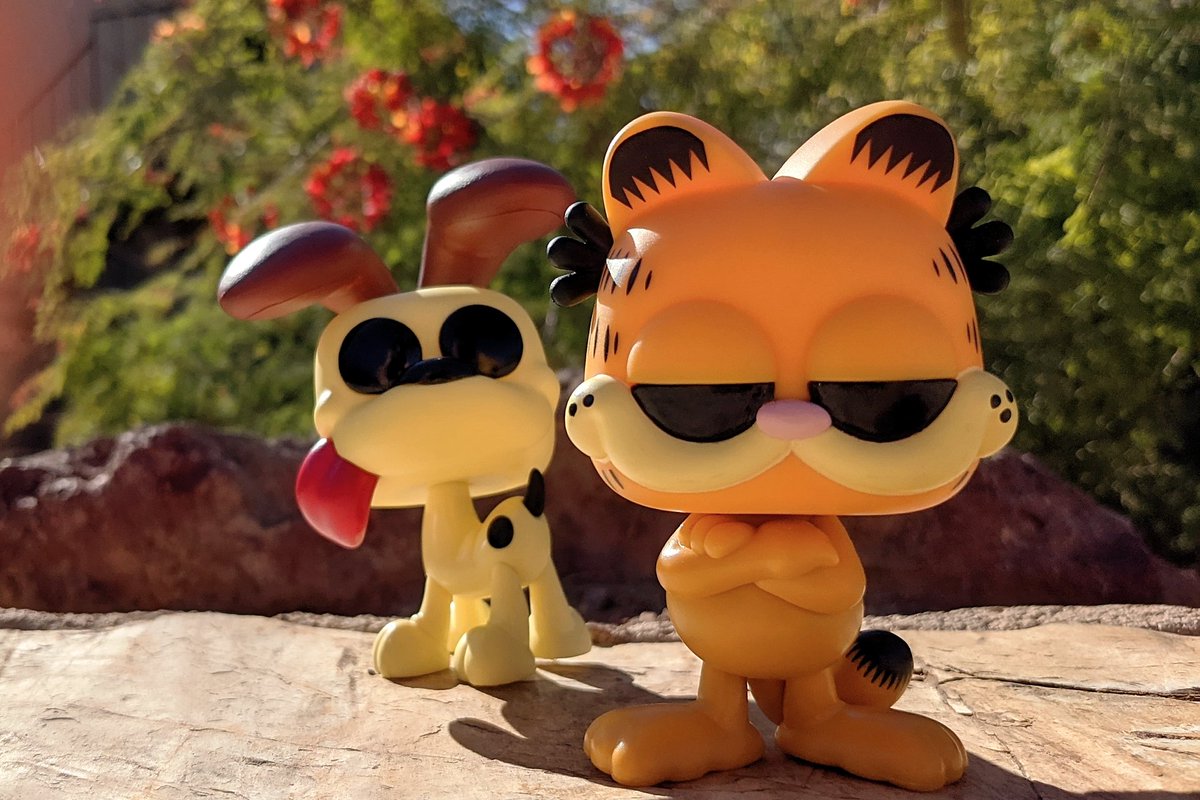 GRicky_Tweets's tweet photo. Pet Park Pleasure
featuring Garfield &amp; Odie 🐱🐶
.
#FunkoPhotoADayChallenge #Pets
@funko &amp; @Garfield
.
.
.
#Photography #PhotographyChallenge #PhotographyProject #Funko #FunkoPop #FunkoPhotography #FunkoPhotoADay #October #Animals #Cats #Dogs #Garfield #Odie https://t.co/za8tpq9MYp