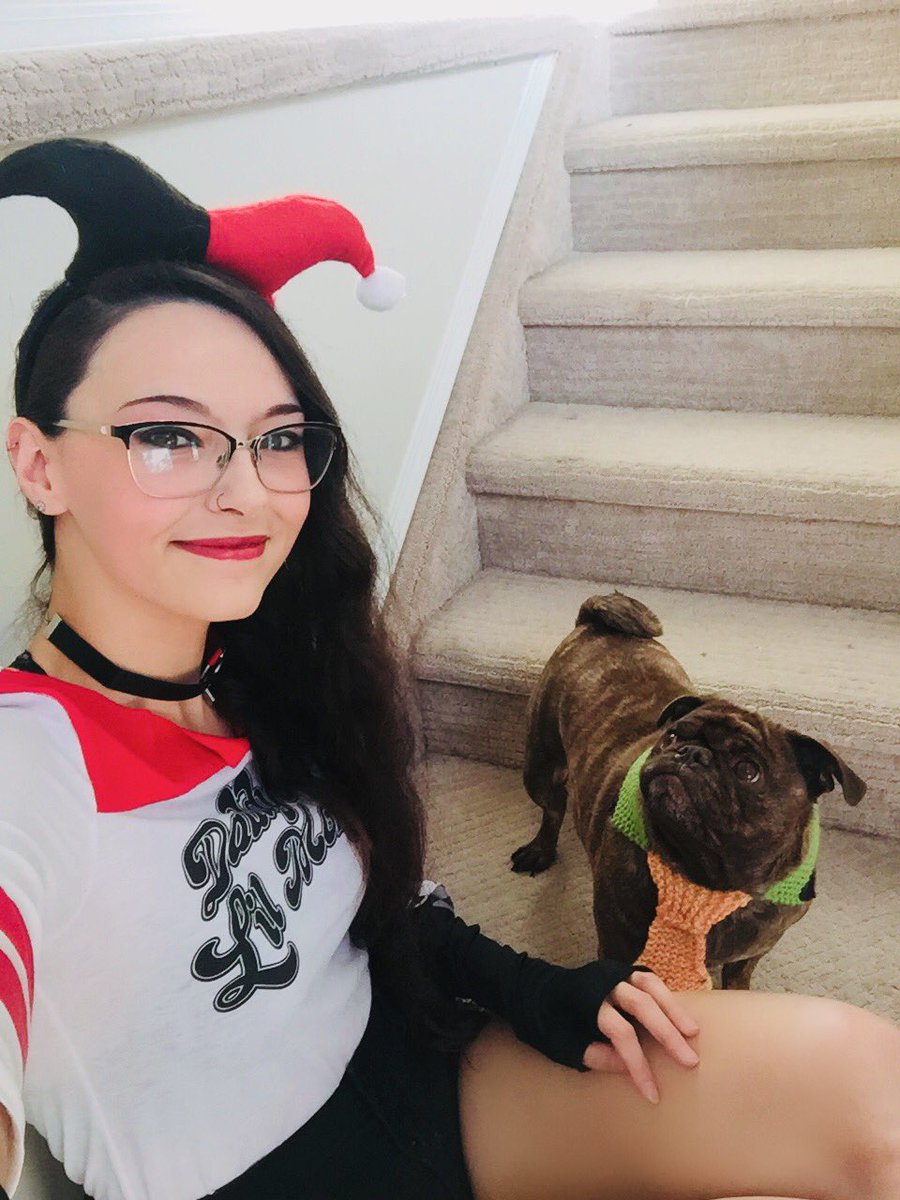 mal_mistress's tweet photo. Going live now on #twitch for day 2 of #theouterworlds in our #jokerandharleyquinn getups ❤️🖤💜💚 #joker #harleyquinn #harleyquinncosplay #jokerart #puglife @twitch https://t.co/mDKA9u3G2L