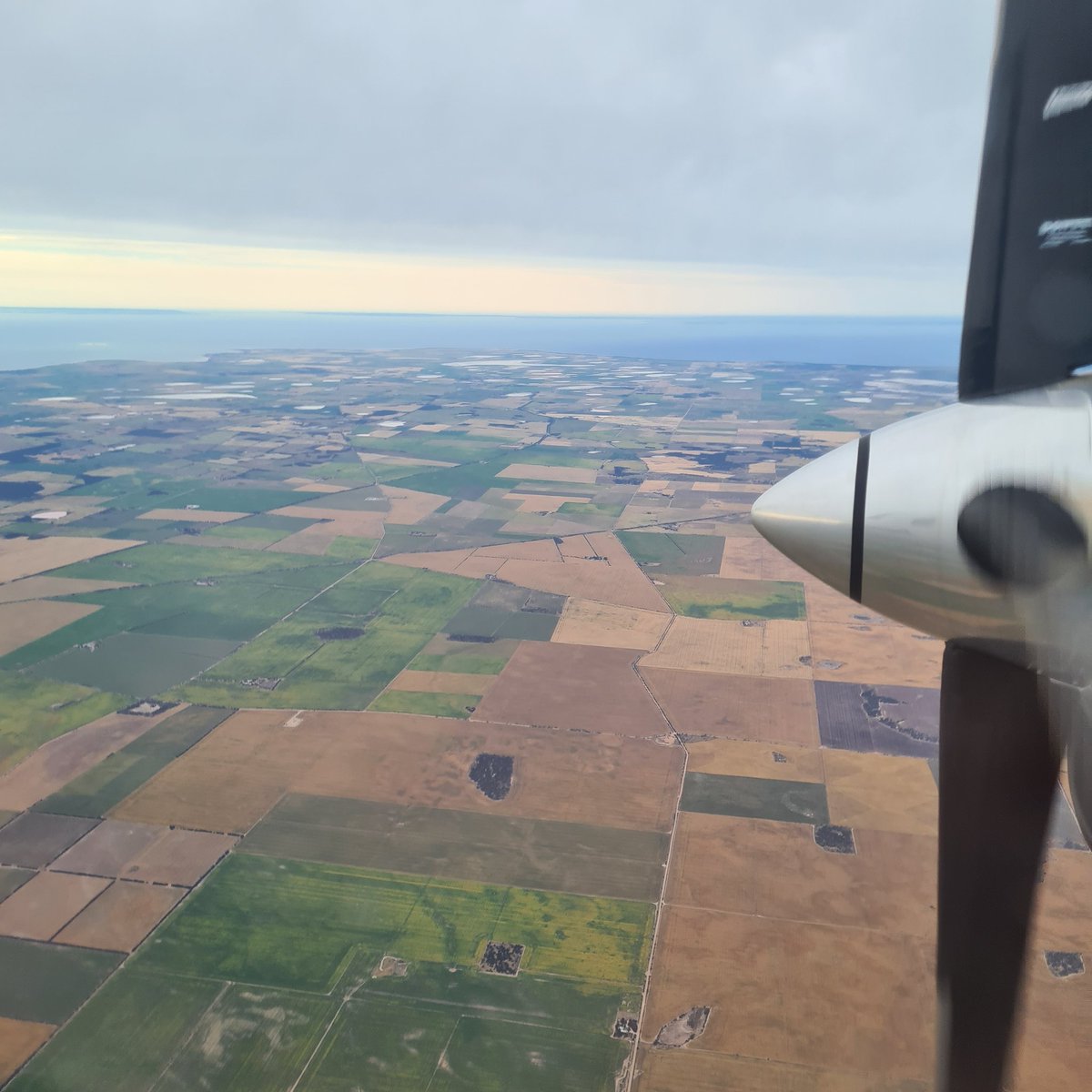 Early morning crop inspection on lower Yorke Peninsula. Things are looking good from up here!