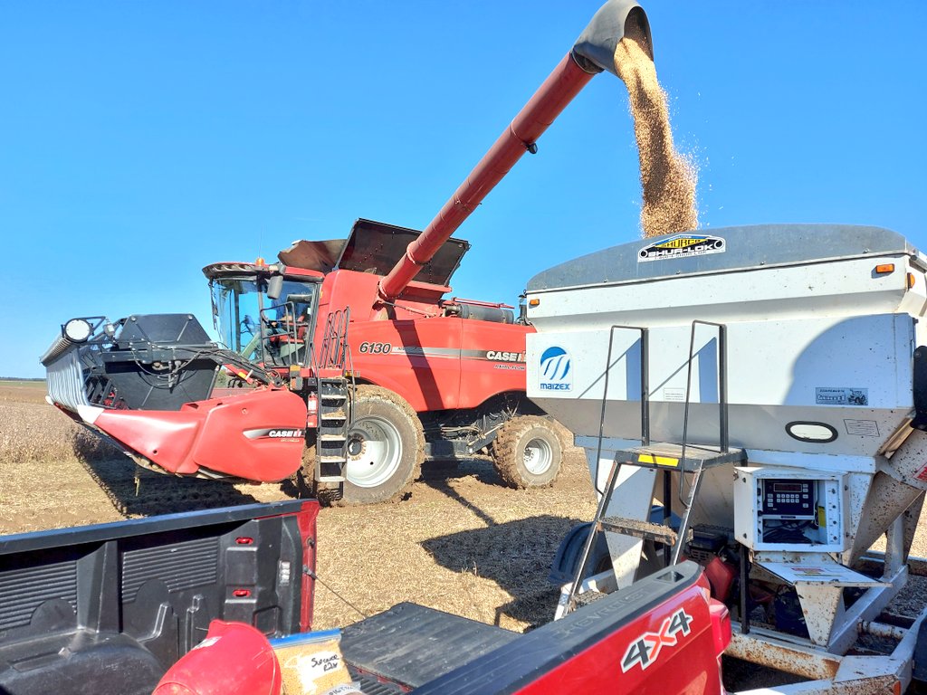 henryprinzen's tweet photo. Incredible yields in Haldimand today! Emerge E3 and Supreme XF hitting the 75 bu/ac mark 💪, awesome performance on the new @Maizex #Elite #Enlist varieties competing with one of the top Xtend competitors @bprinzen #CanadianGrownCanadianOwned #TruePerformance https://t.co/OYK0ptogaS