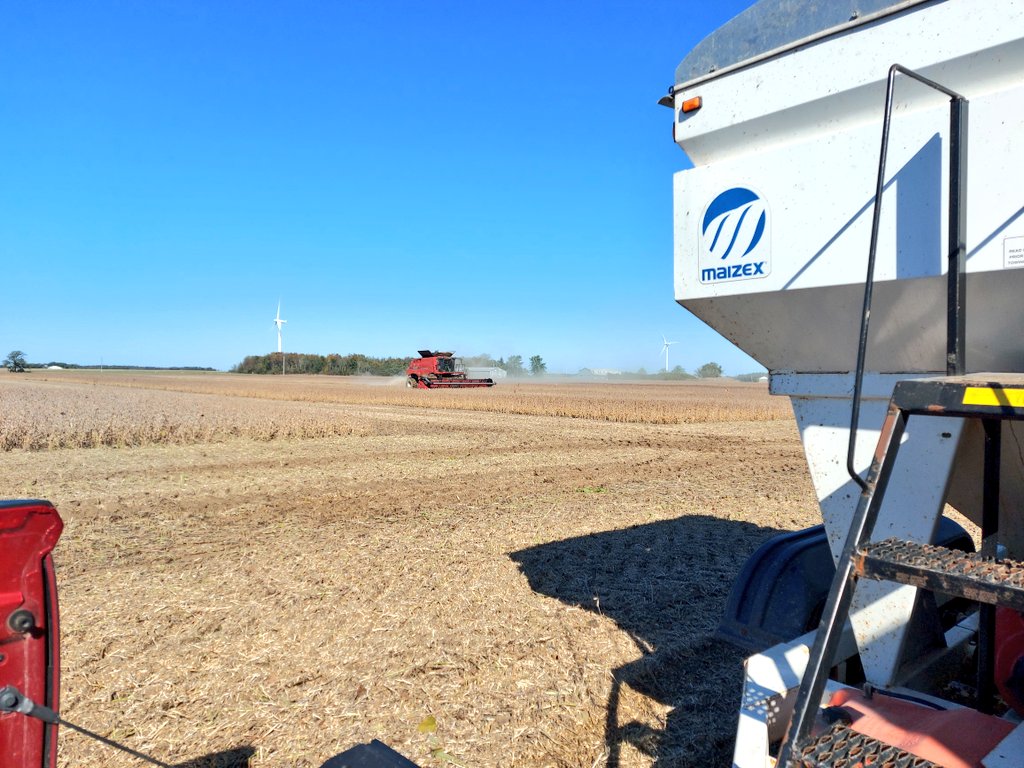 henryprinzen's tweet photo. Incredible yields in Haldimand today! Emerge E3 and Supreme XF hitting the 75 bu/ac mark 💪, awesome performance on the new @Maizex #Elite #Enlist varieties competing with one of the top Xtend competitors @bprinzen #CanadianGrownCanadianOwned #TruePerformance https://t.co/OYK0ptogaS