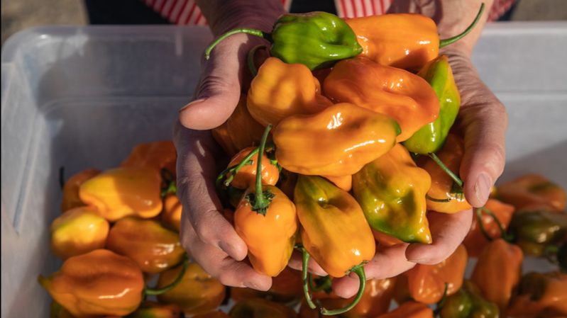 What's On In October?! - mailchi.mp/0792d9ef492e/w…