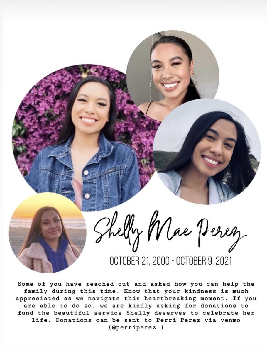 naivelocin's tweet photo. rest in peace my beautiful shells, please if you can retweet/like or donate, anything is appreciated! https://t.co/Vd1vWrmAUg