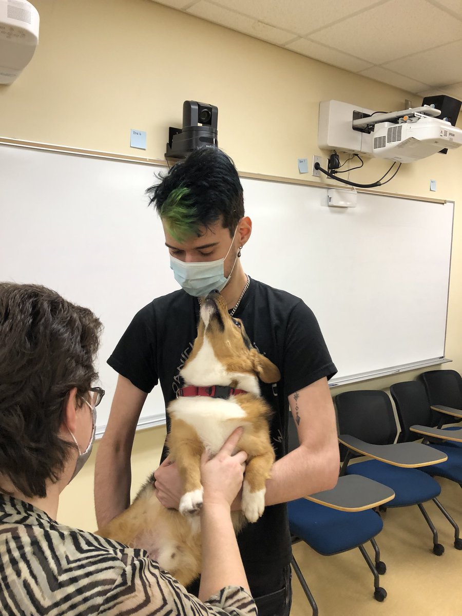 Max Piasecki tweet media