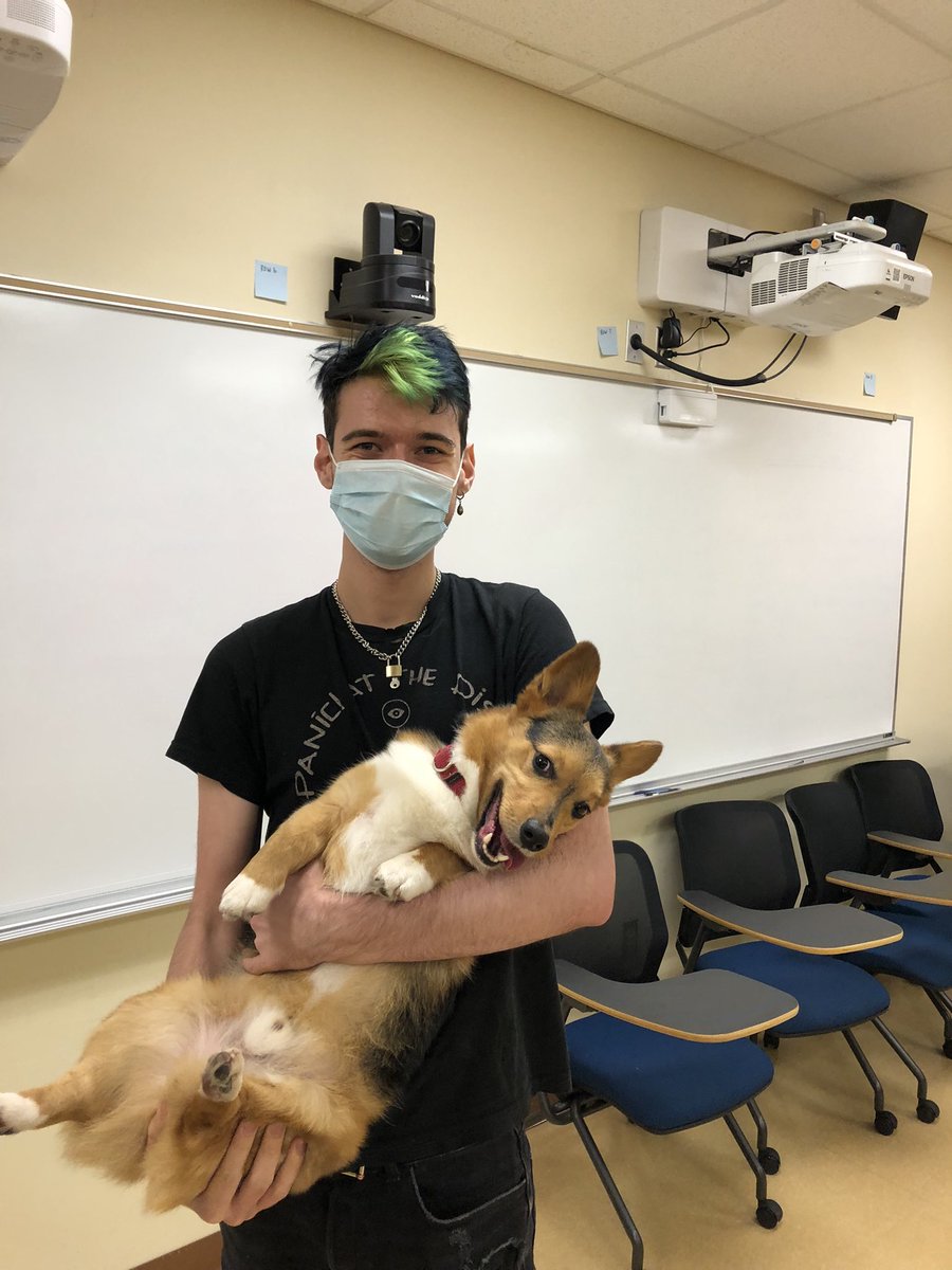 Max Piasecki tweet media