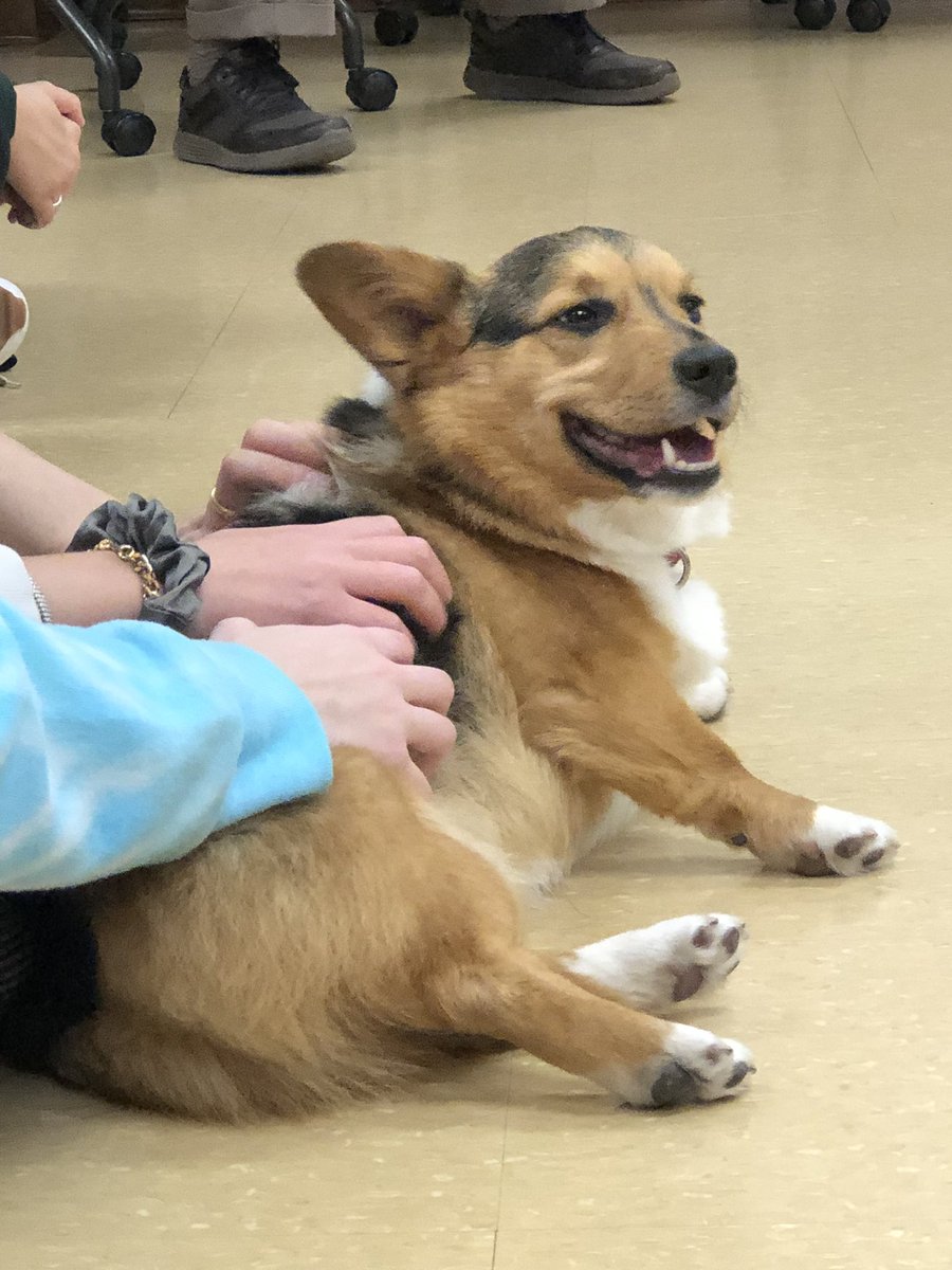 Max Piasecki tweet media