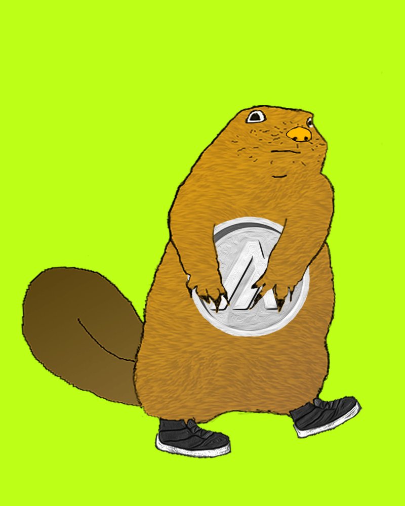 gabrielkuettel's tweet photo. Just picked up @AlgoBeaver #24. His little sneakers😍 These beavers are lit 🔥🔥🔥. NOT FOR SALE. $ALGO  #Algorand #NFTs #AlgoNFT #AB2 #AlgoFam https://t.co/gMYssCUviX