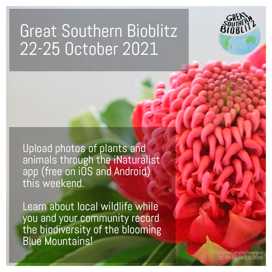 Only 2 days until the #GSBioblitz! If you go to the #BlueMountains this weekend, the iNaturalist app can identify plants and animals for you while contributing to <a href="/GSBioblitz/">GreatSouthernBioblitz</a>’s #CitizenScience biodiversity survey.