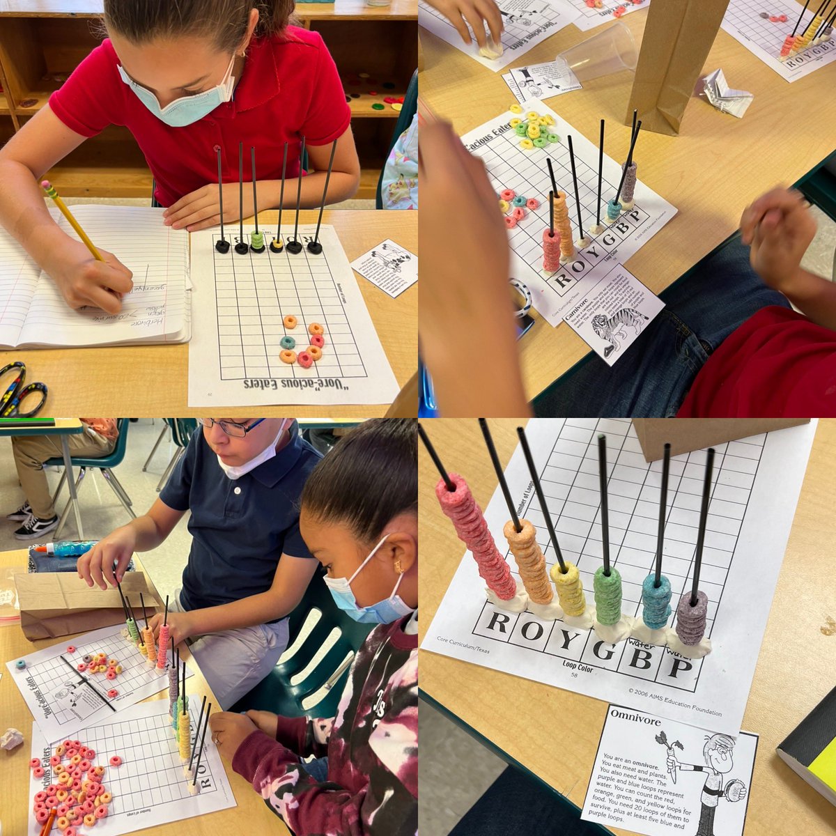 OESFifth108's tweet photo. Ms. V.’s class enjoying a lesson on type of consumers in science lab🐻🦁🐰@OES_Ocelots https://t.co/Dt5WTJ7nge