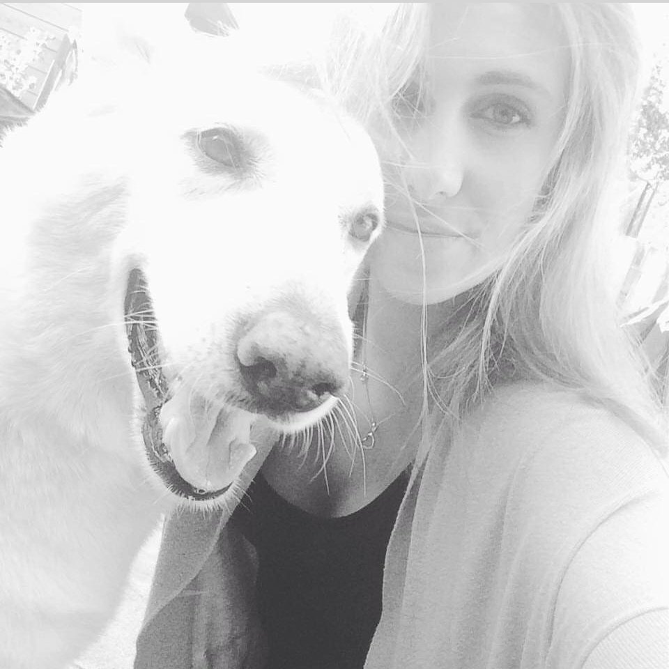 TypicalAmber's tweet photo. @BitLifeApp This was Shina , my white Shepard. She was the sweetest! https://t.co/FGN1mKUk7L