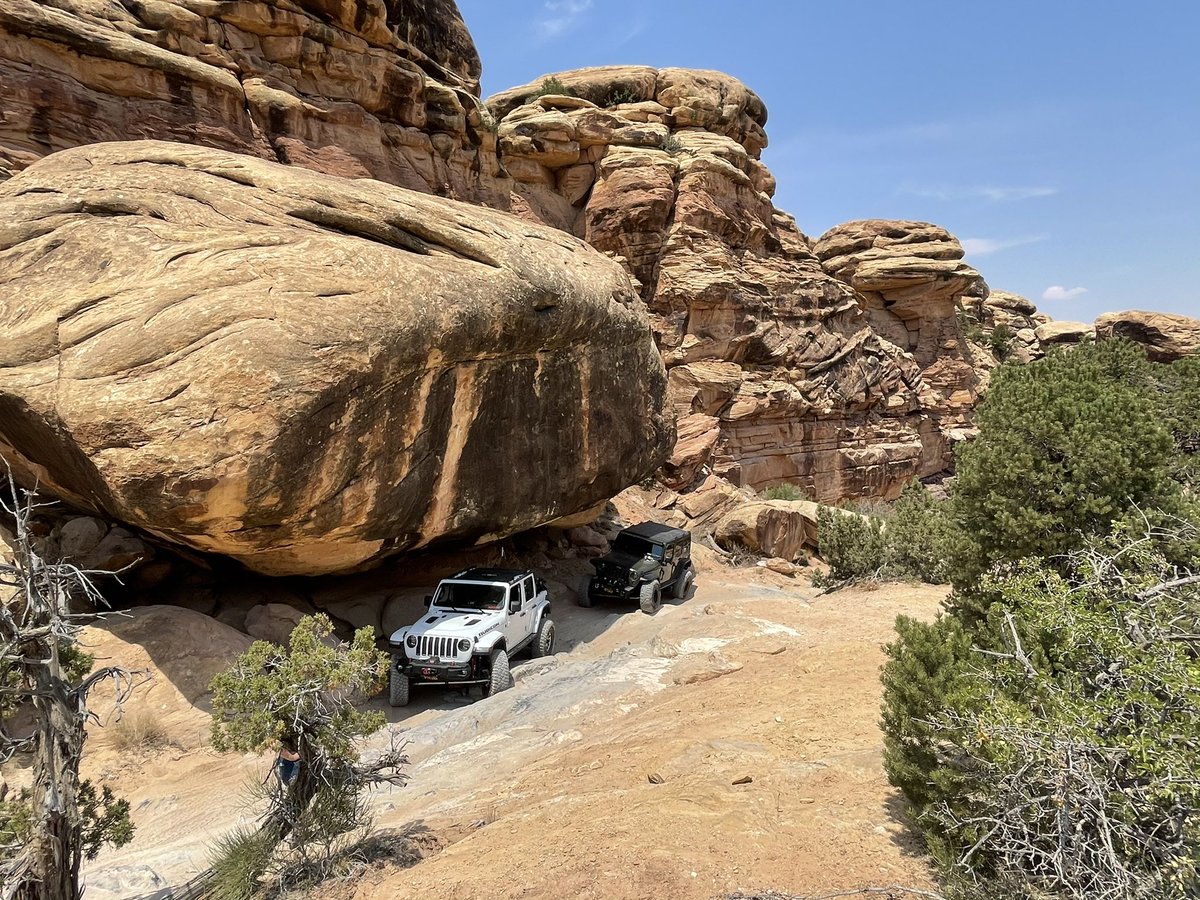sdjeepclub's tweet photo. Made in the shade #sdjc https://t.co/CsJ1ceYQ2y