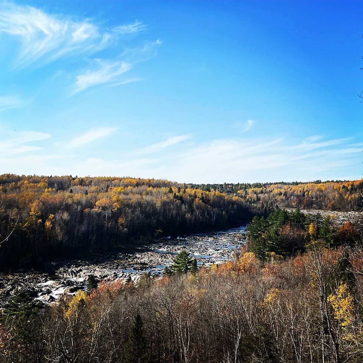JillHolzScience's tweet photo. The Ogantz Trail at Oldenburg Point, overlooking the St. Louis #River @mnstateparks in Jay Cooke State Park. Water level is extremely low, so the beautiful tilted #slate & greywacke is exposed. Past peak for #fallcolors but it’s a beautiful, sunny, 70F day. #minnesota #meabreak https://t.co/noYsWkKjgL