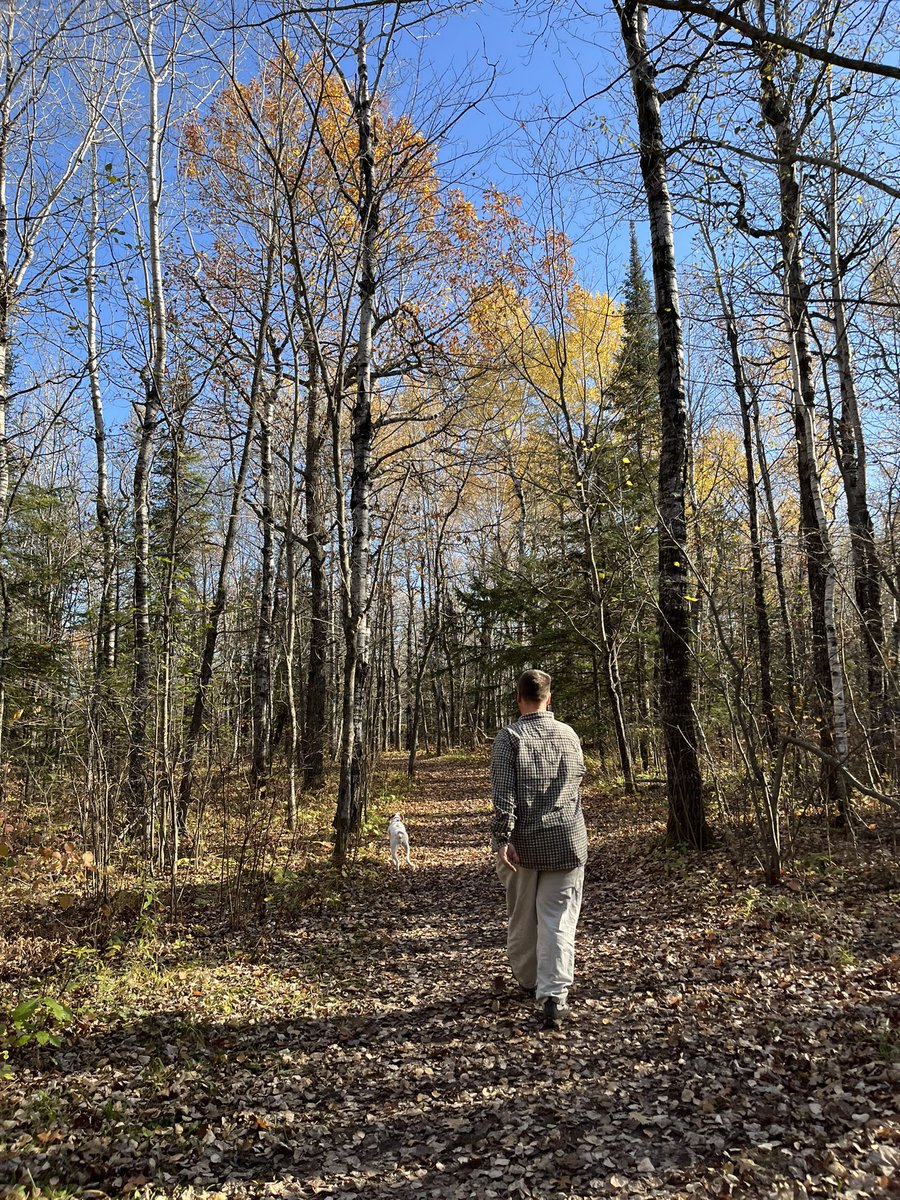 JillHolzScience's tweet photo. The Ogantz Trail at Oldenburg Point, overlooking the St. Louis #River @mnstateparks in Jay Cooke State Park. Water level is extremely low, so the beautiful tilted #slate & greywacke is exposed. Past peak for #fallcolors but it’s a beautiful, sunny, 70F day. #minnesota #meabreak https://t.co/noYsWkKjgL