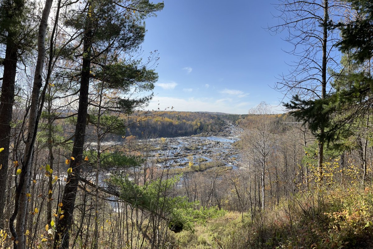 JillHolzScience's tweet photo. The Ogantz Trail at Oldenburg Point, overlooking the St. Louis #River @mnstateparks in Jay Cooke State Park. Water level is extremely low, so the beautiful tilted #slate & greywacke is exposed. Past peak for #fallcolors but it’s a beautiful, sunny, 70F day. #minnesota #meabreak https://t.co/noYsWkKjgL