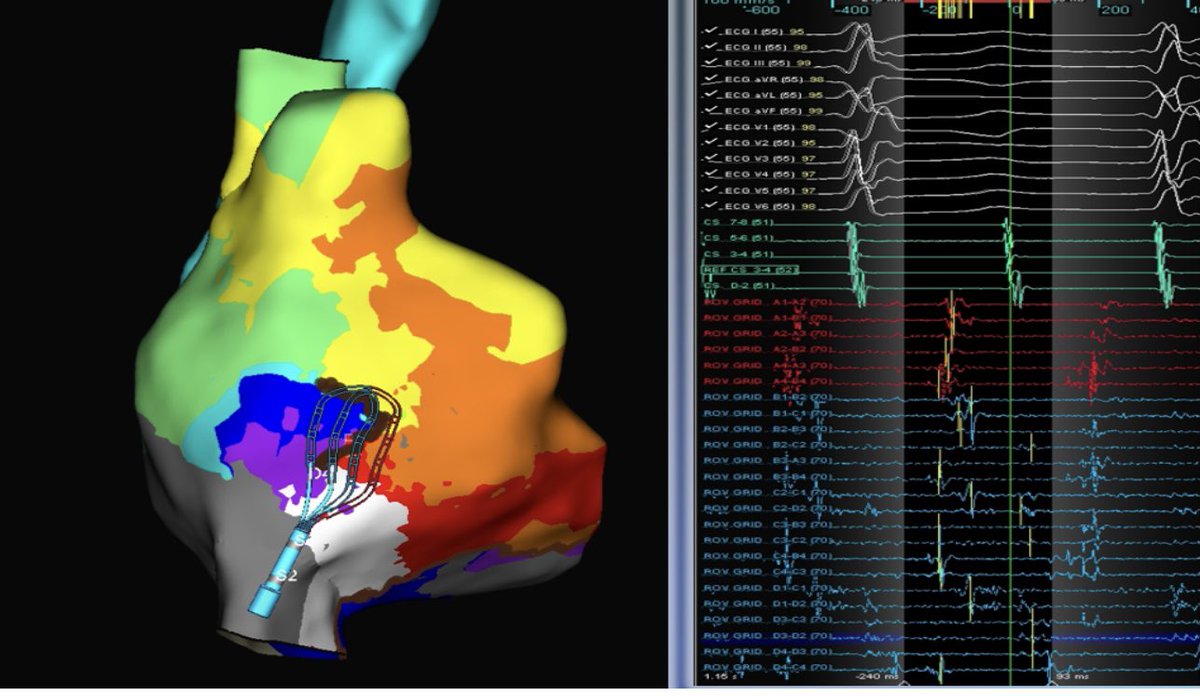 Andrew Campadonico tweet media