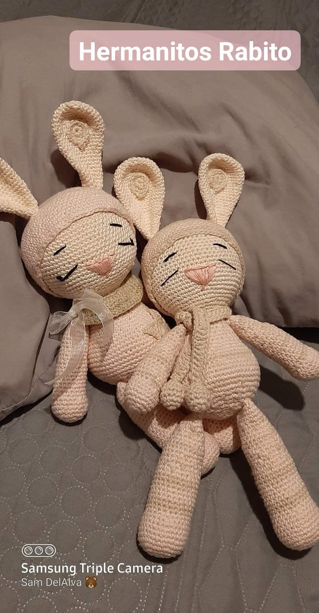 knitting_bear's tweet photo. Los hermanos rabito listos para ir a casa #conejos #amigurumi #knittingbear #love https://t.co/flBe6ZcEMO