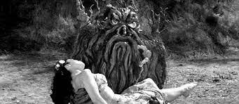 SemetraRhodes's tweet photo. Killer Plants #NowWatching FROM HELL IT CAME #KillerPlants #KillerTree #31DaysOfHorror 🎃🌴🎃 https://t.co/cHhQAYyHqO