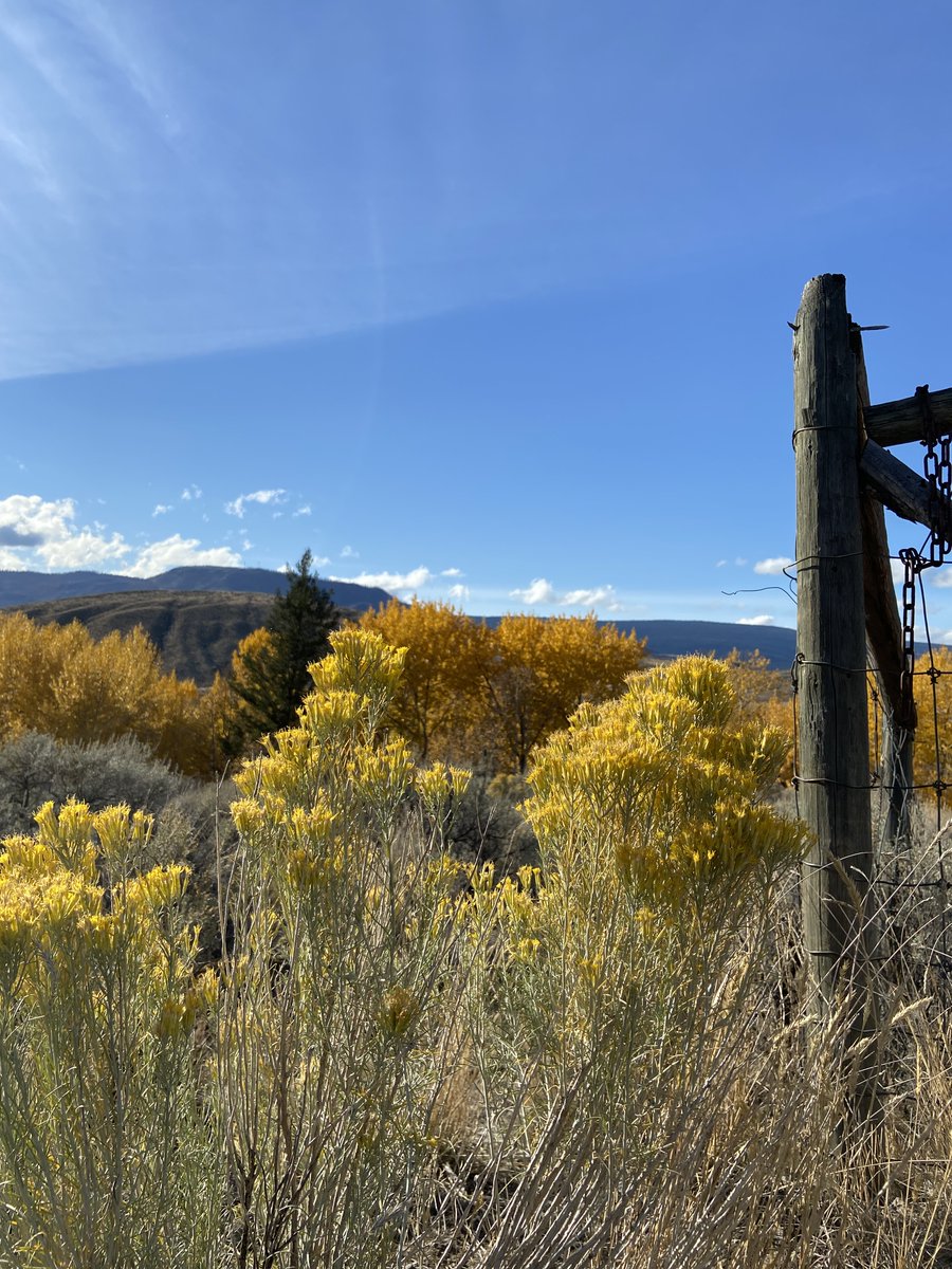 Explore Autumn in #goldcountryBC !
