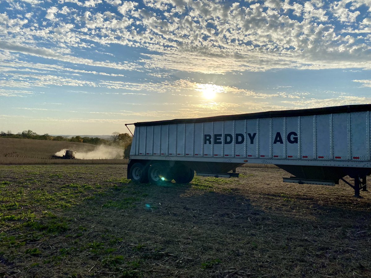 ReddyAgService's tweet photo. #harvest21 https://t.co/qkGRyEnUEZ