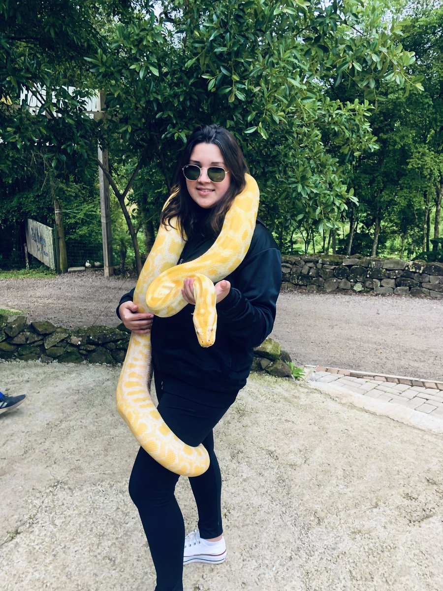 indiibecker's tweet photo. Latika e Darwin 🐍❤️ Eu queria ficar o dia abraçada neles!!!!!!!!! https://t.co/6JPRO1L7Ge