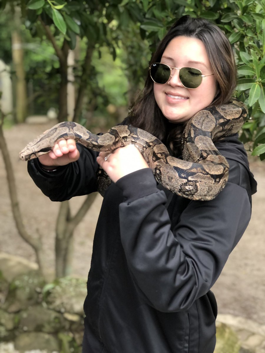 indiibecker's tweet photo. Latika e Darwin 🐍❤️ Eu queria ficar o dia abraçada neles!!!!!!!!! https://t.co/6JPRO1L7Ge