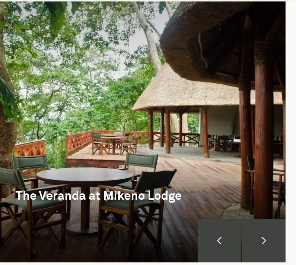 JamboKwetuTours's tweet photo. @ConvetteGroup @DBayeye @gloiremurhigisi @Nick_KingYNK @ShirleyNailante @Syombuak #DestinationRDC
#VisitDRC
Mikeno Lodge
Tchegera Island
Virunga National Park https://t.co/EPsTVtS6K6