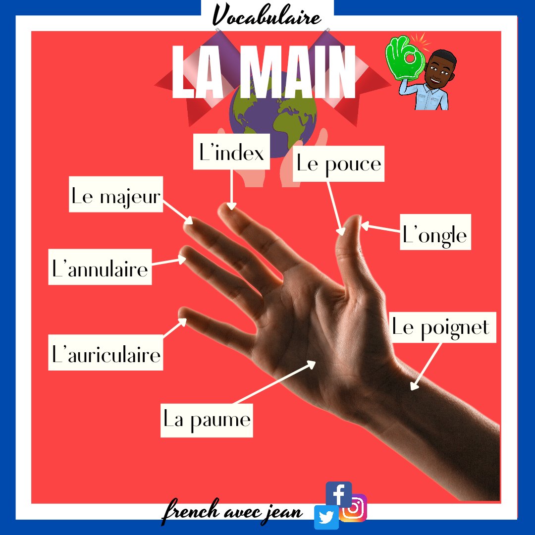 AvecFrench tweet picture