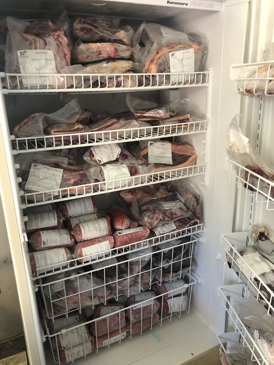 TyrannosaurusReps tweet media