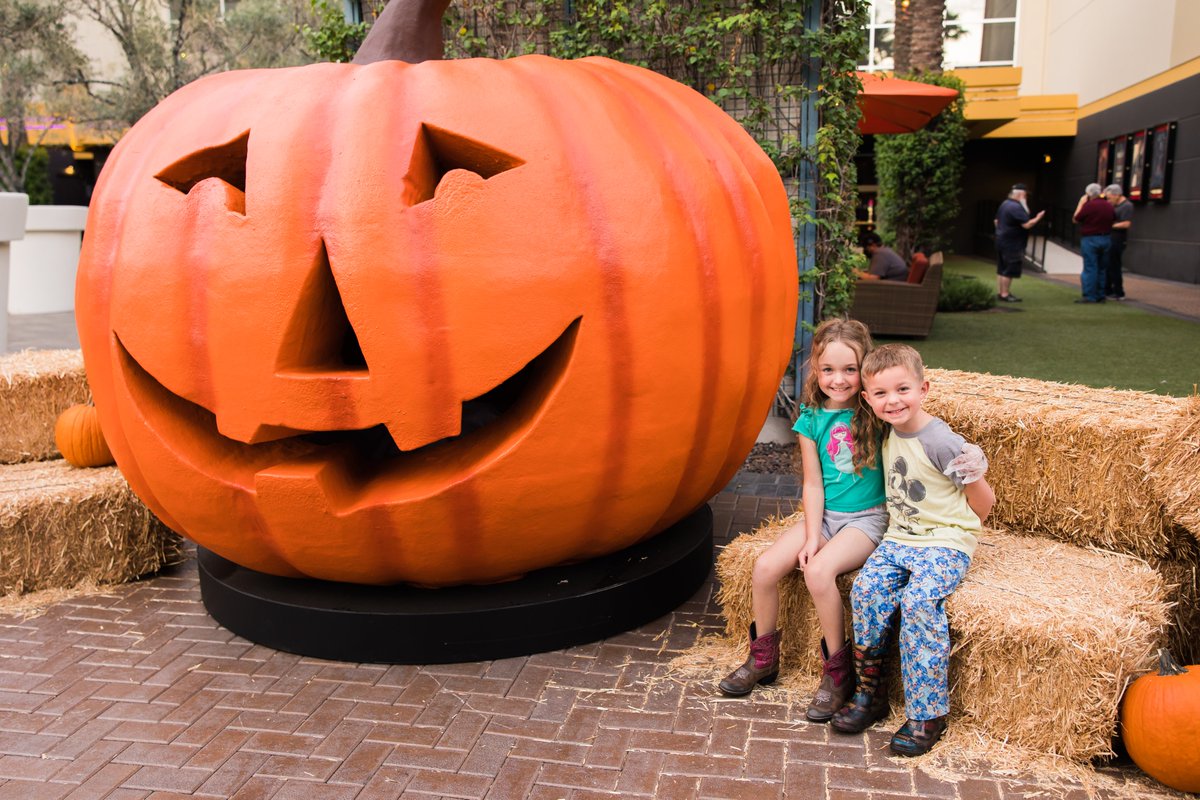 Tempe Marketplace tweet media
