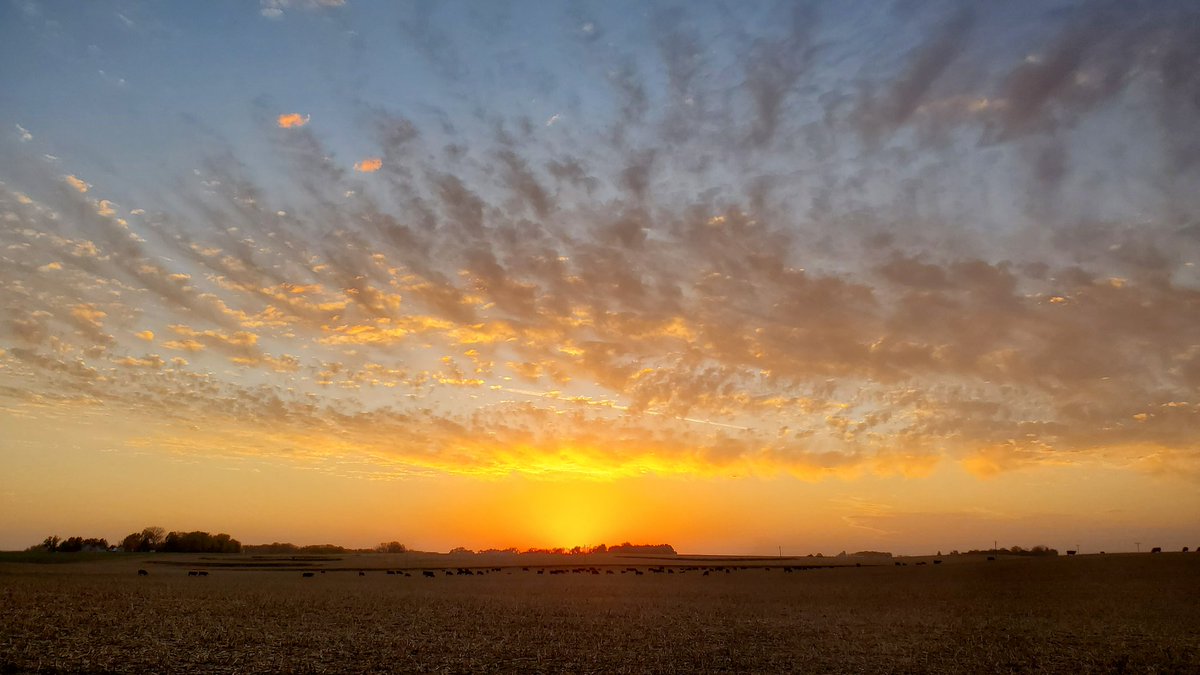 kruser02's tweet image. 