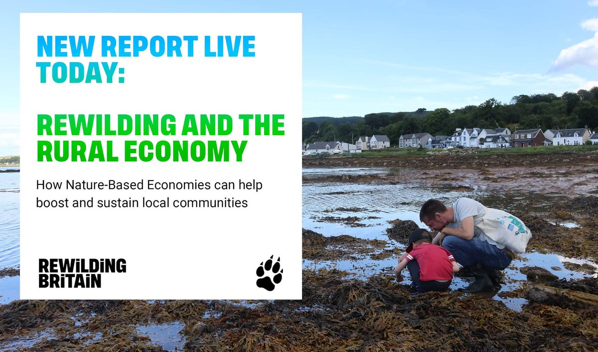 RewildingB's tweet photo. 🦅 It’s time to unleash a new wave of nature-based innovation!
Our new report shows how #rewilding can increase & diversify rural + coastal jobs while helping Britain meet its biodiversity and climate commitments 🌎👏
Get inspired👇
https://t.co/tNQgA2f1QZ
#NatureBasedEconomy https://t.co/iAwAh4SySK