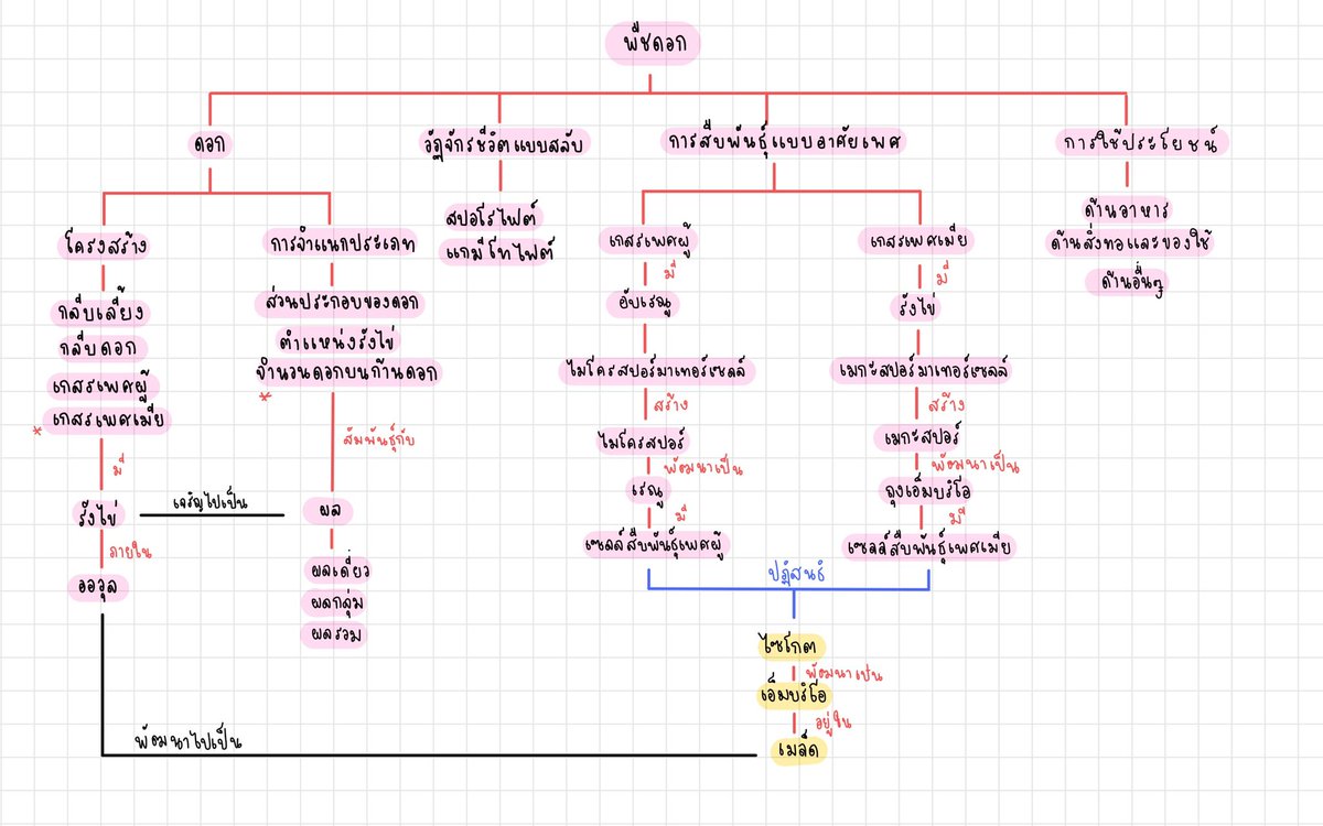 ppsu_English -ลงศัพท์ทุกวัน- tweet media