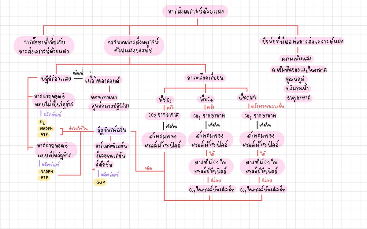 ppsu_English -ลงศัพท์ทุกวัน- tweet media