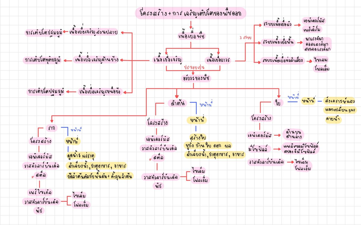 ppsu_English -ลงศัพท์ทุกวัน- tweet media