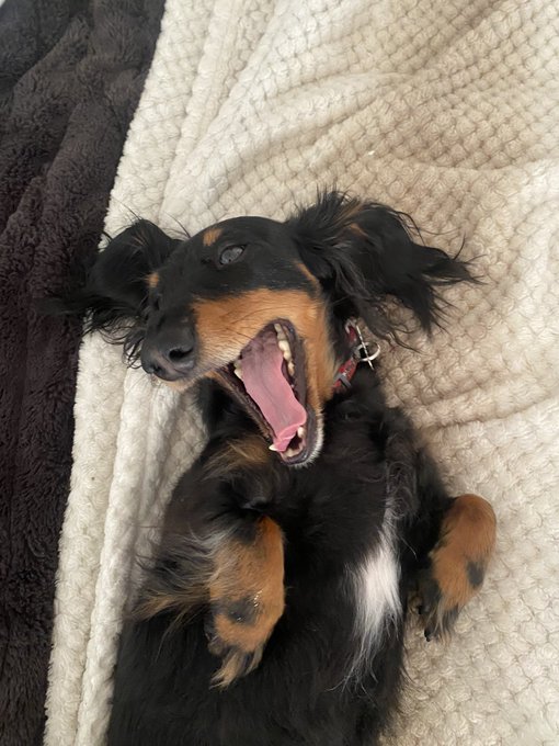 Ugly otie 💖 https://t.co/8qwov5tSYt