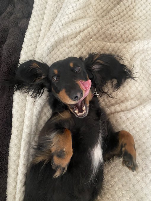 Ugly otie 💖 https://t.co/8qwov5tSYt
